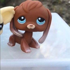 Dachshund LPS